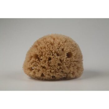 kalyspongea natural honeycomb sponge natural color