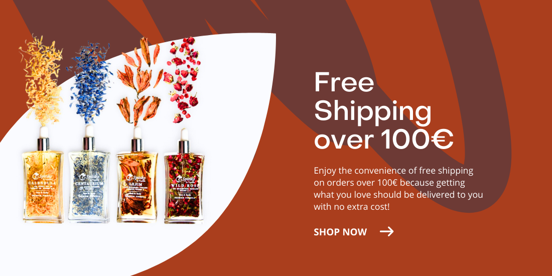 Free Shipping over 100€ (1)